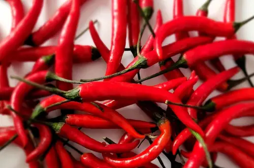 Small peppers with big heat! This compact plant grows up to 8 inches tall and produces large numbers of small tabasco-style peppers that ripen from green to deep red. Each plant can produce around 200 peppers, making it a great choice for gardeners who want a colorful and productive harvest.